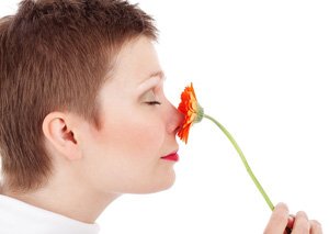 Die Nase - mehr als nur ein Riechorgan Die Nase