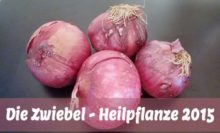 Die rote Zwiebel